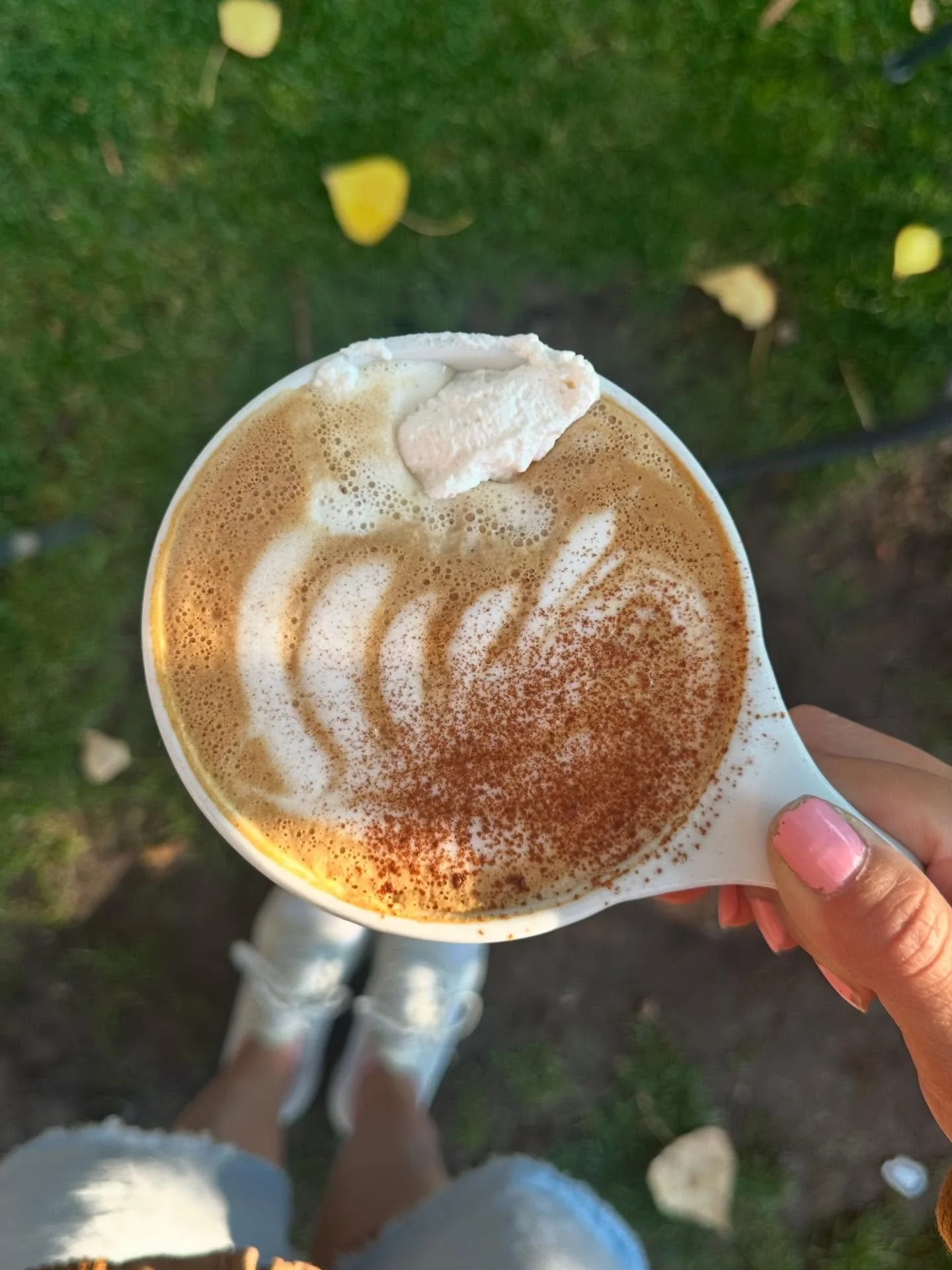 Signs of autumn: fallen leaves and our pumpkin spice latte. They&rsquo;re back and just as good as you remember. Stop in soon and stay warm on these cool mornings 🍁☕️🍂 

#risedriggs #psl #fallweather