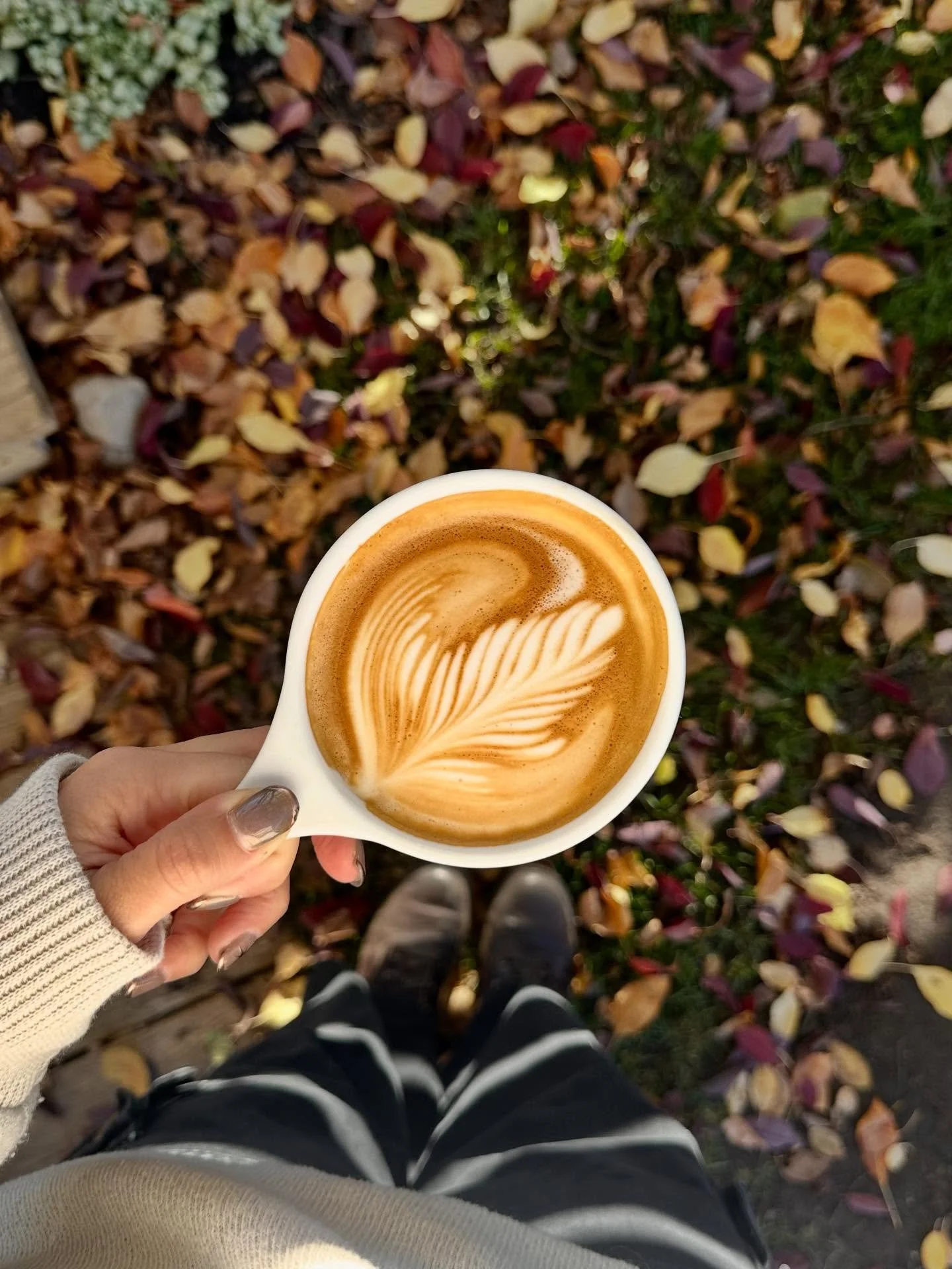 This could be your fall POV.
#latteart #risedriggs #fall