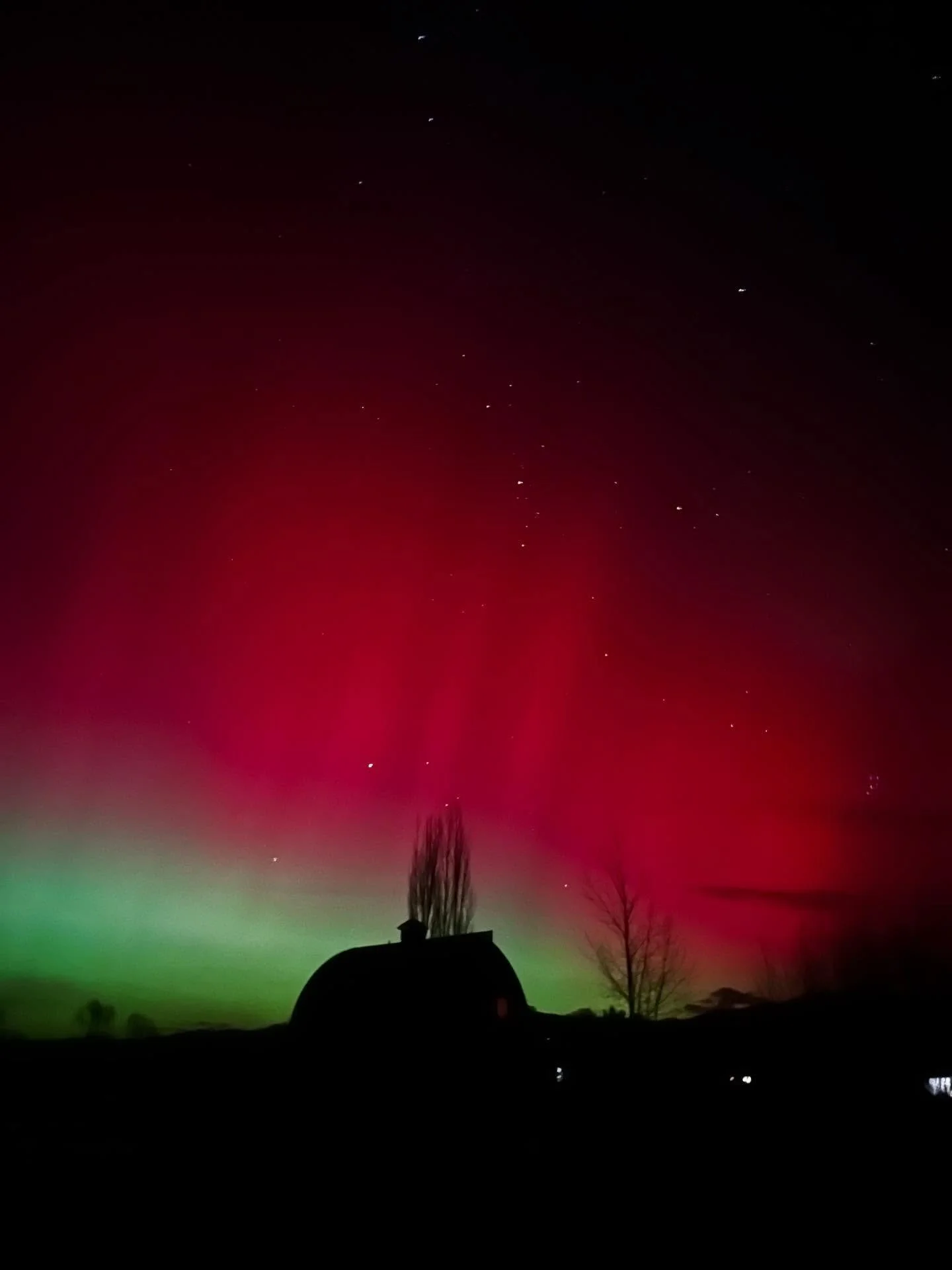 Thank you. We needed that. 🩷💚