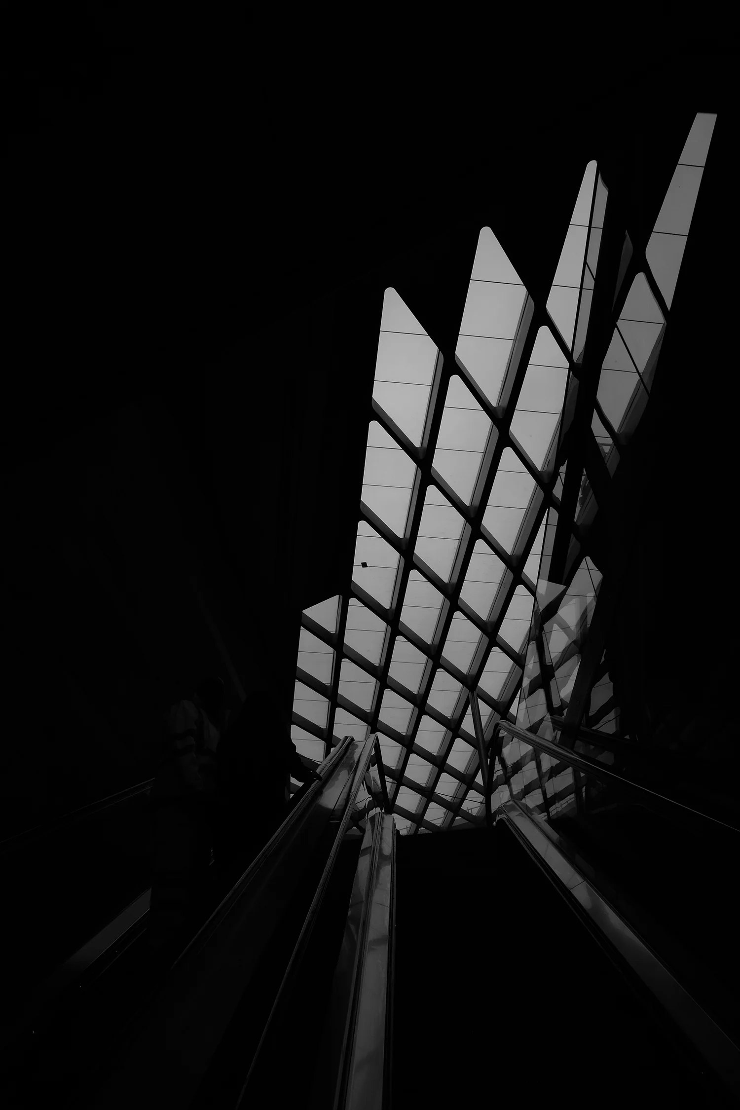 559A2423r.jpg
