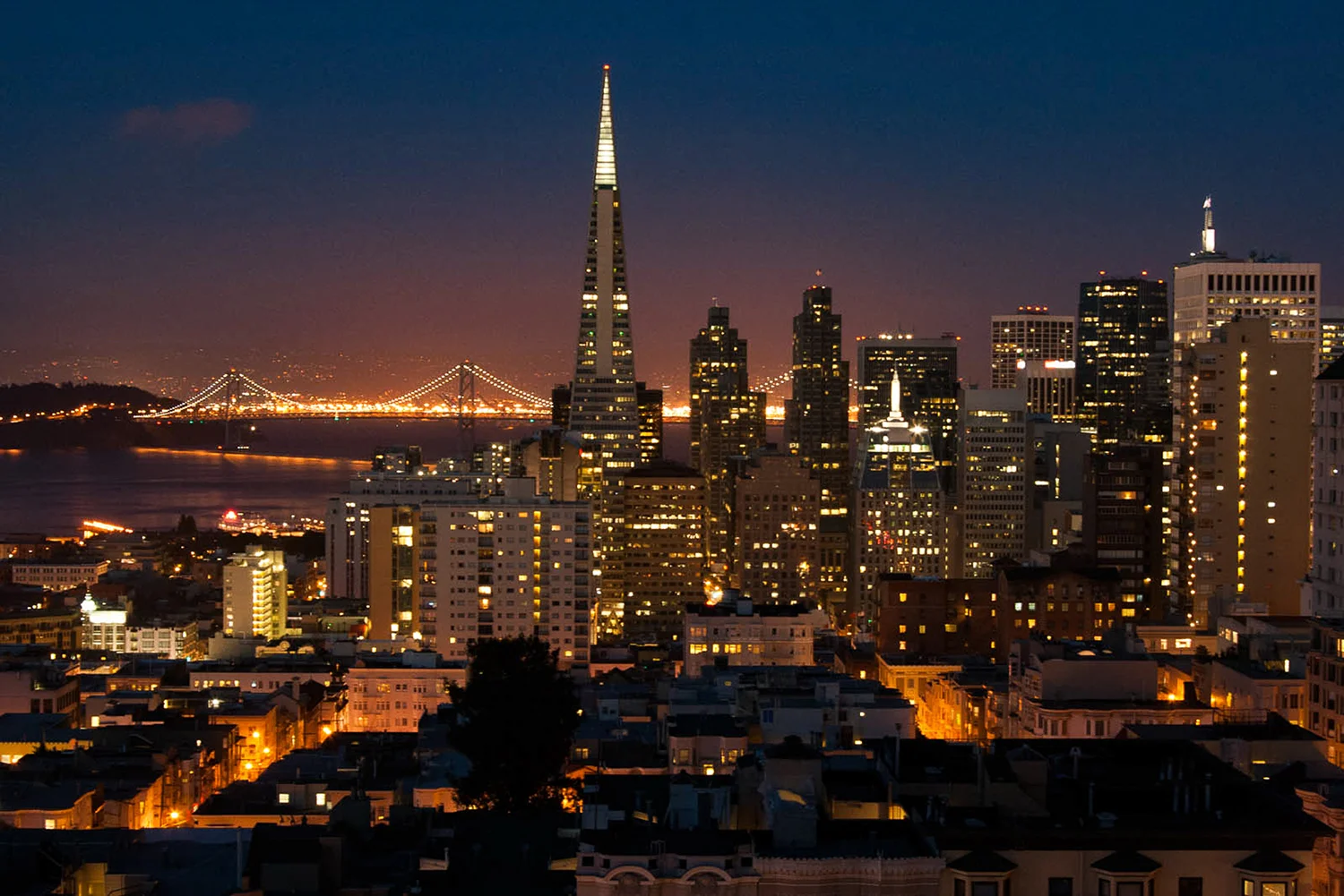 SF (1 of 1)R.jpg