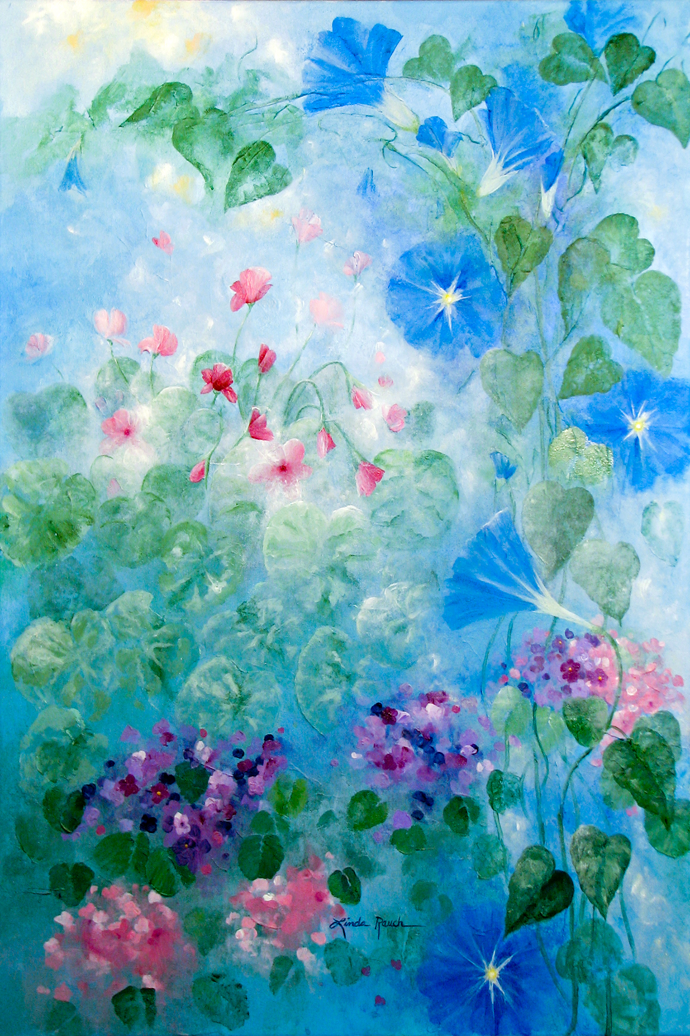Early Morning Glory