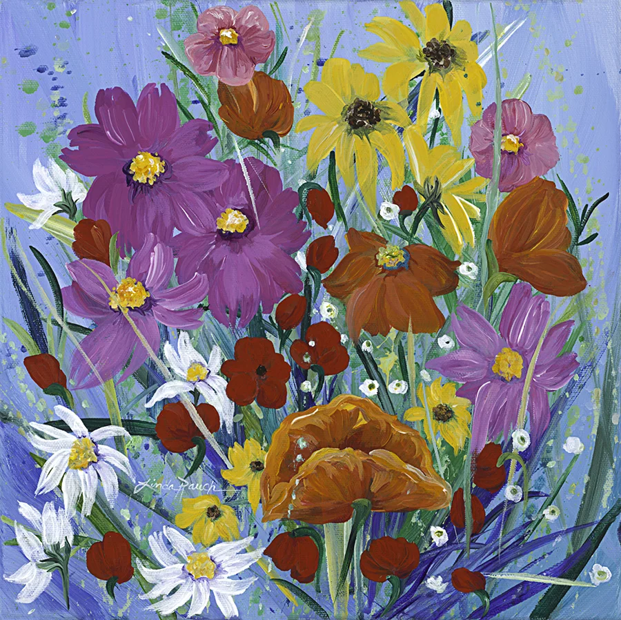 Wildflower Rainbow