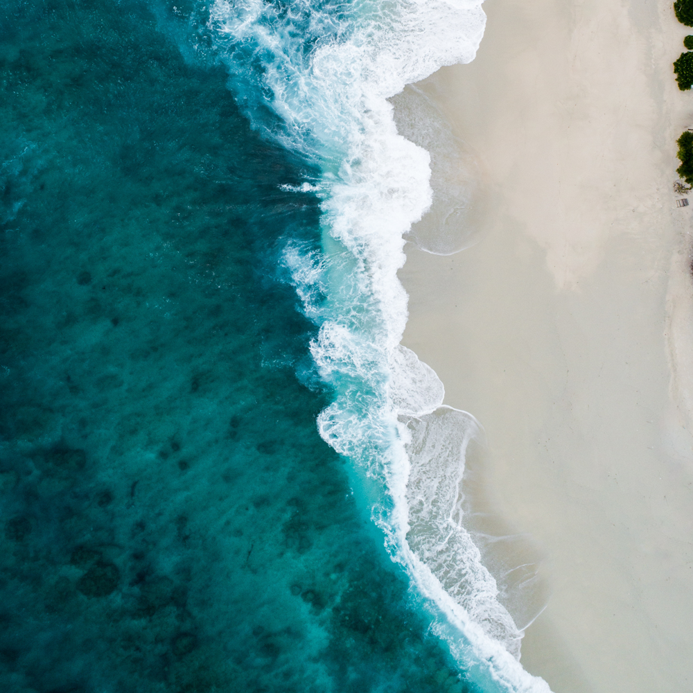 ocean2.png