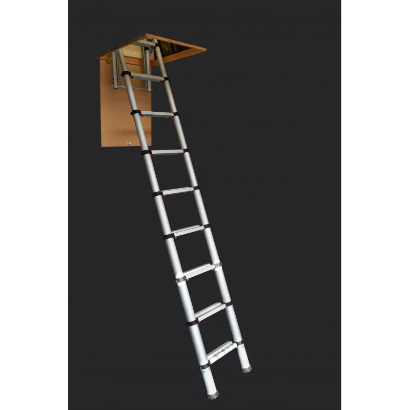telescopic ladder