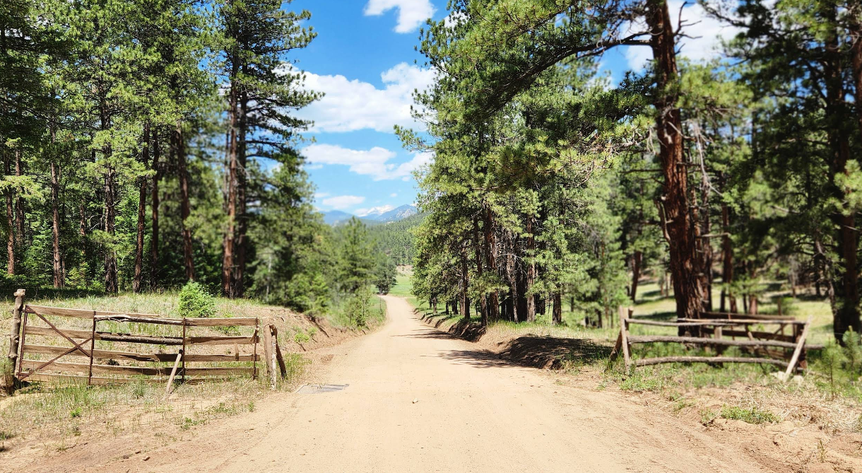 Sacred Wounds and Superpowers