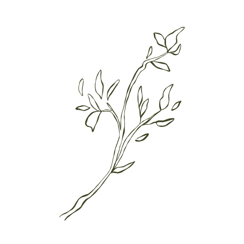 Line drawing of a small branch with leaves on a black background.