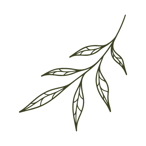 A simple illustration of a branch with six elongated leaves on a black background.