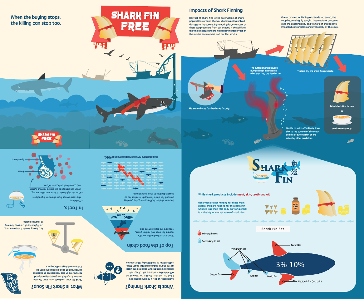 SharkFin02.png