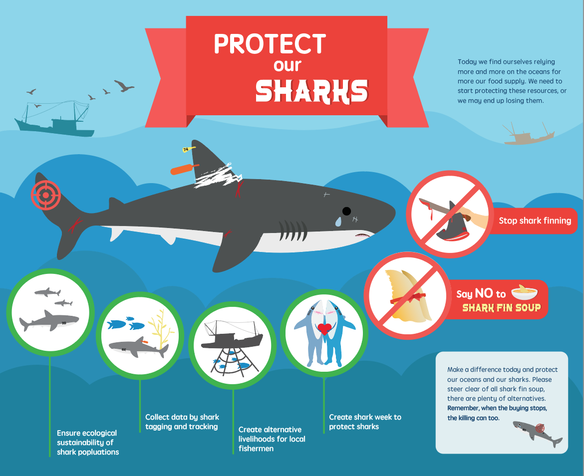 SharkFin01.png