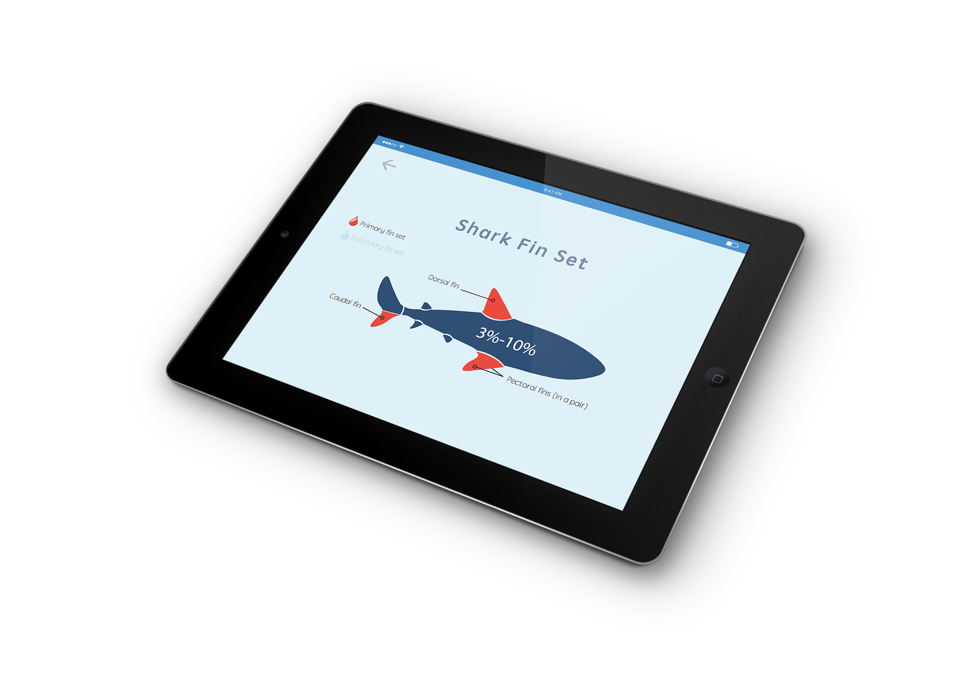 iPad-Mockup-02.png