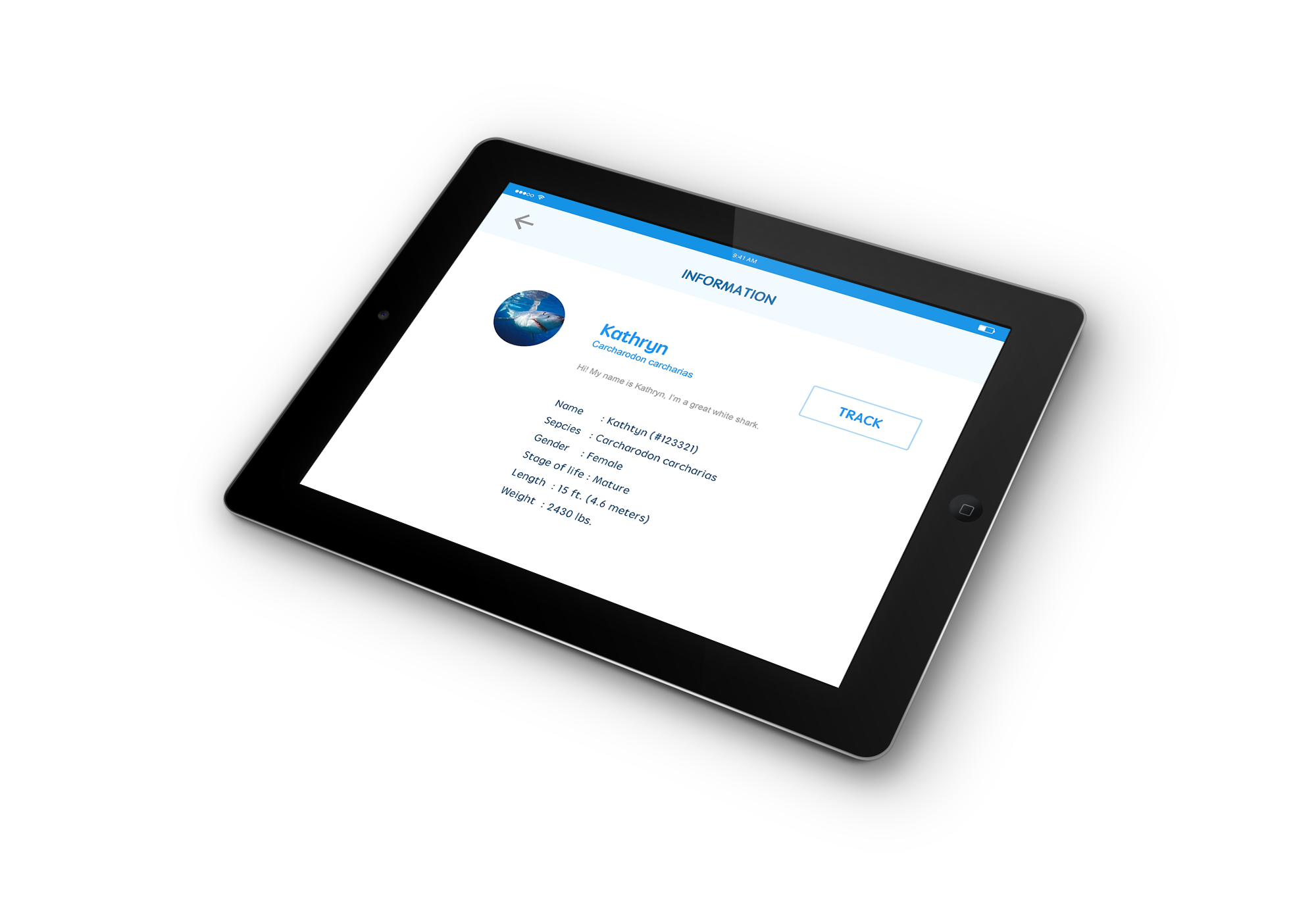 iPad-Mockup-07.png