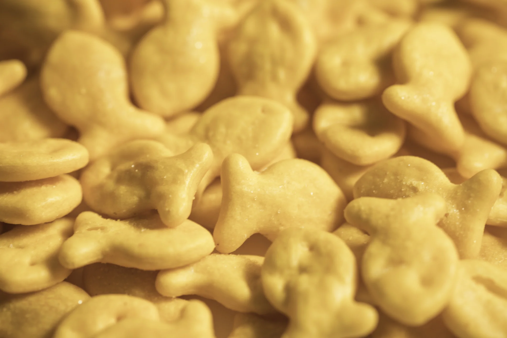 The Goldfish Debacle: A Guest Blog About Mindful Eating For Moms