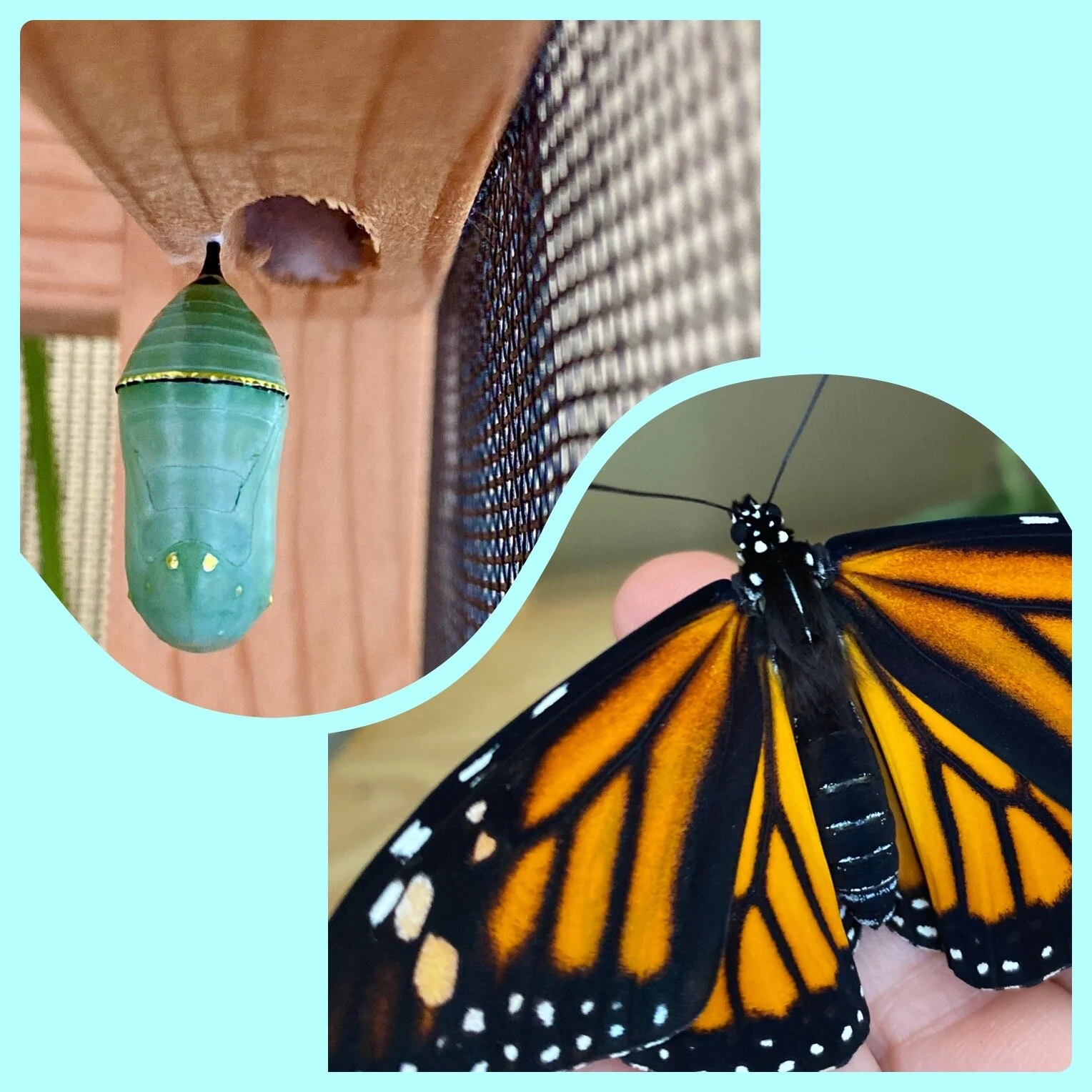 Eating Disorder Recovery and Grief: when are you done?