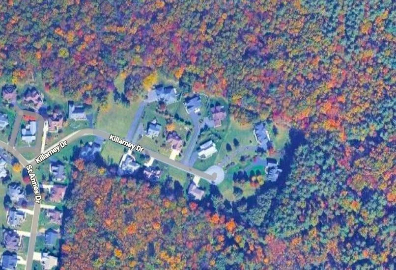 Screenshot 2026-03-04.jpg