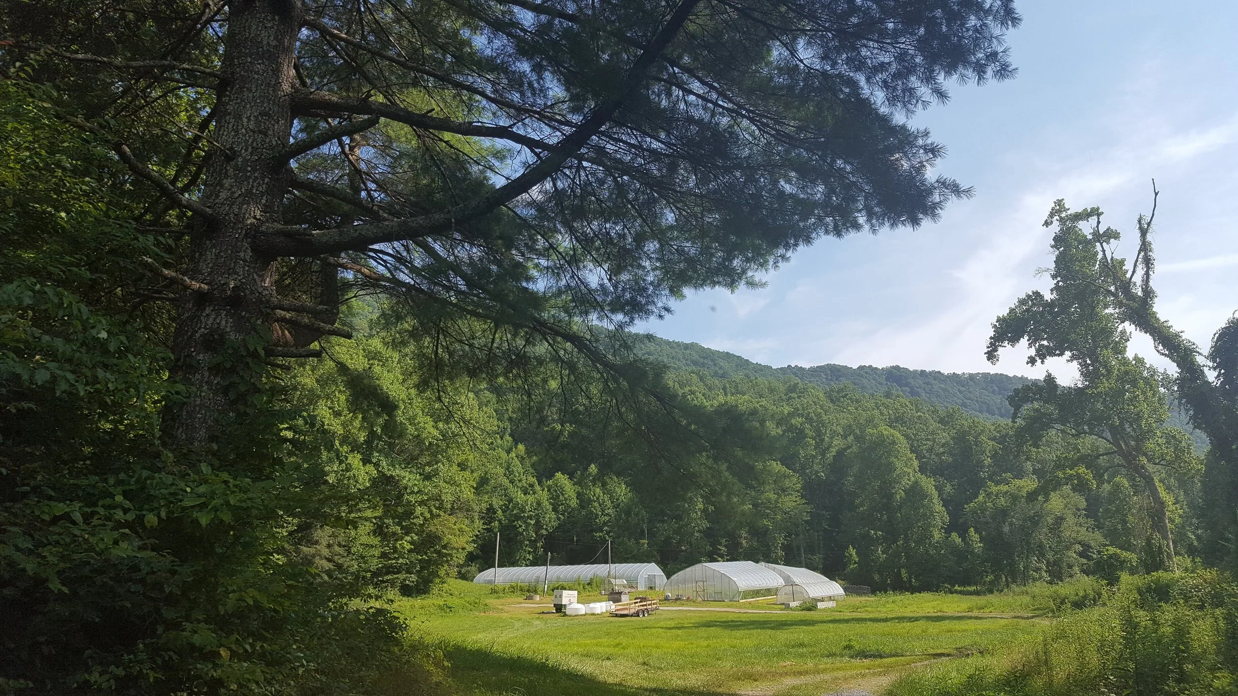 20170723_170810.jpg