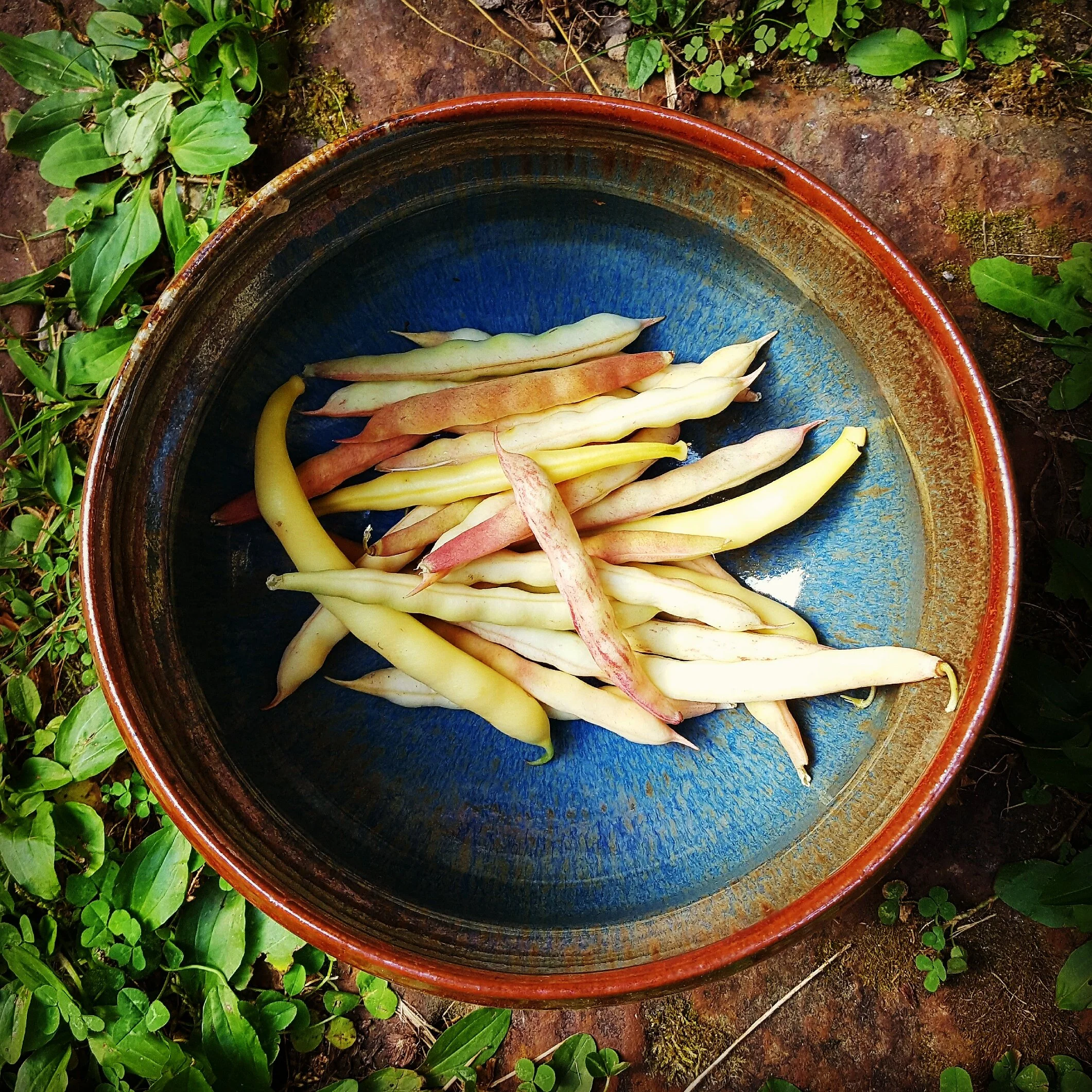 Appalachian Foodways Course