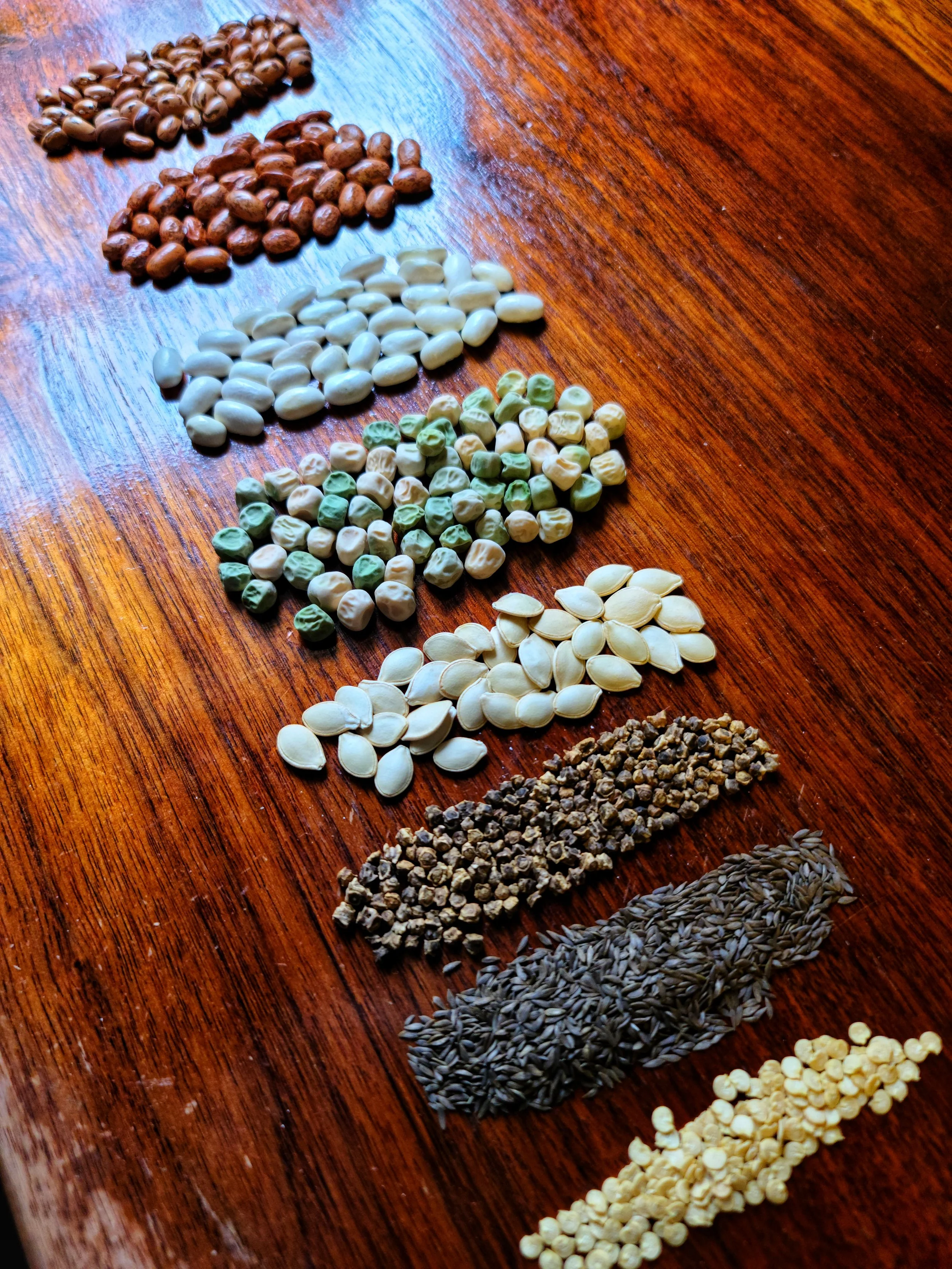 Grow Appalachia Garden Program