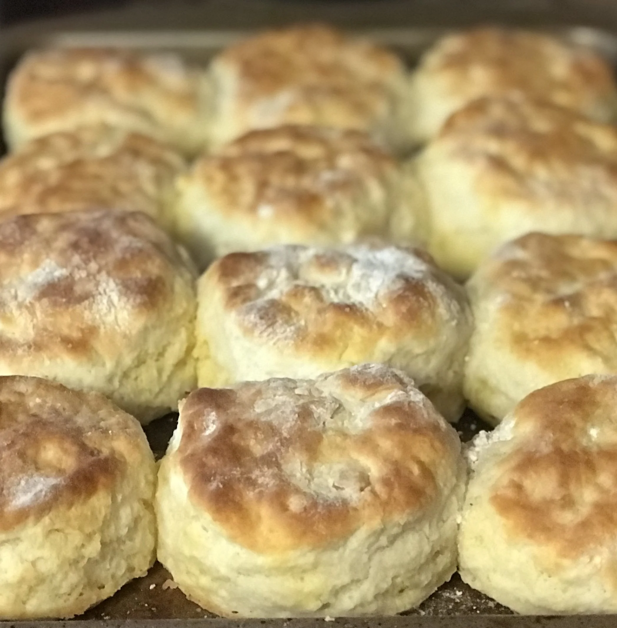 Appalachian Cooking presented by South Arts