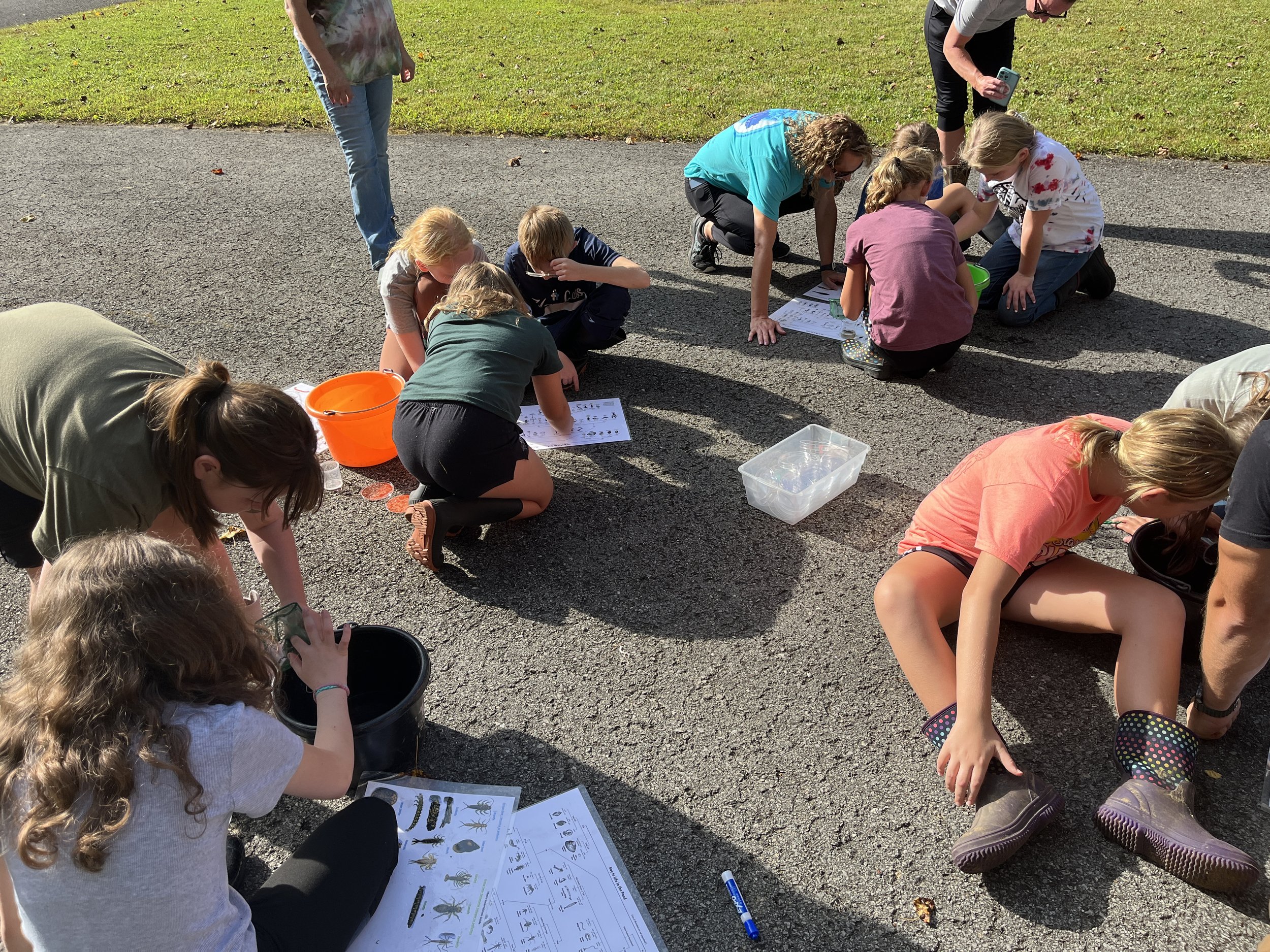 Homeschool Field Days