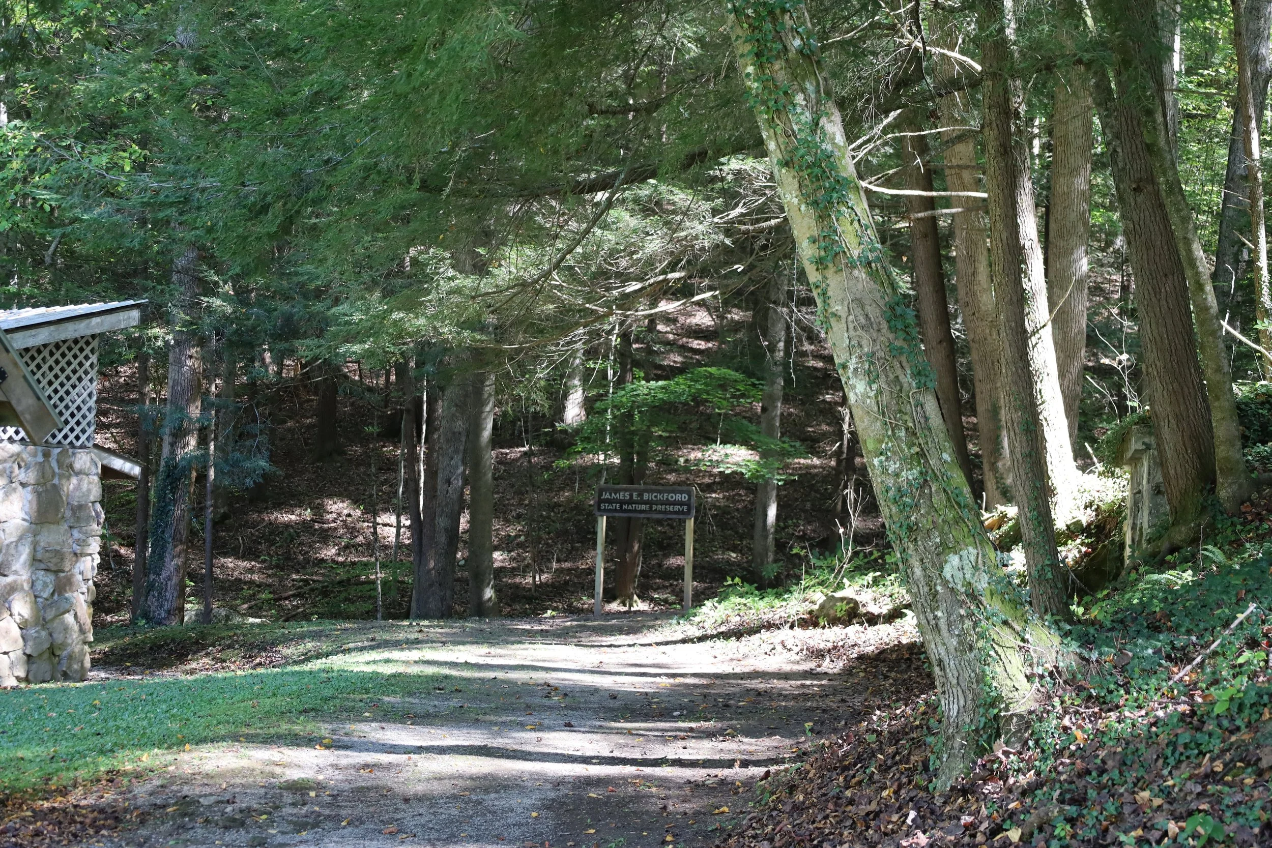 Spring Hike Series with Clare