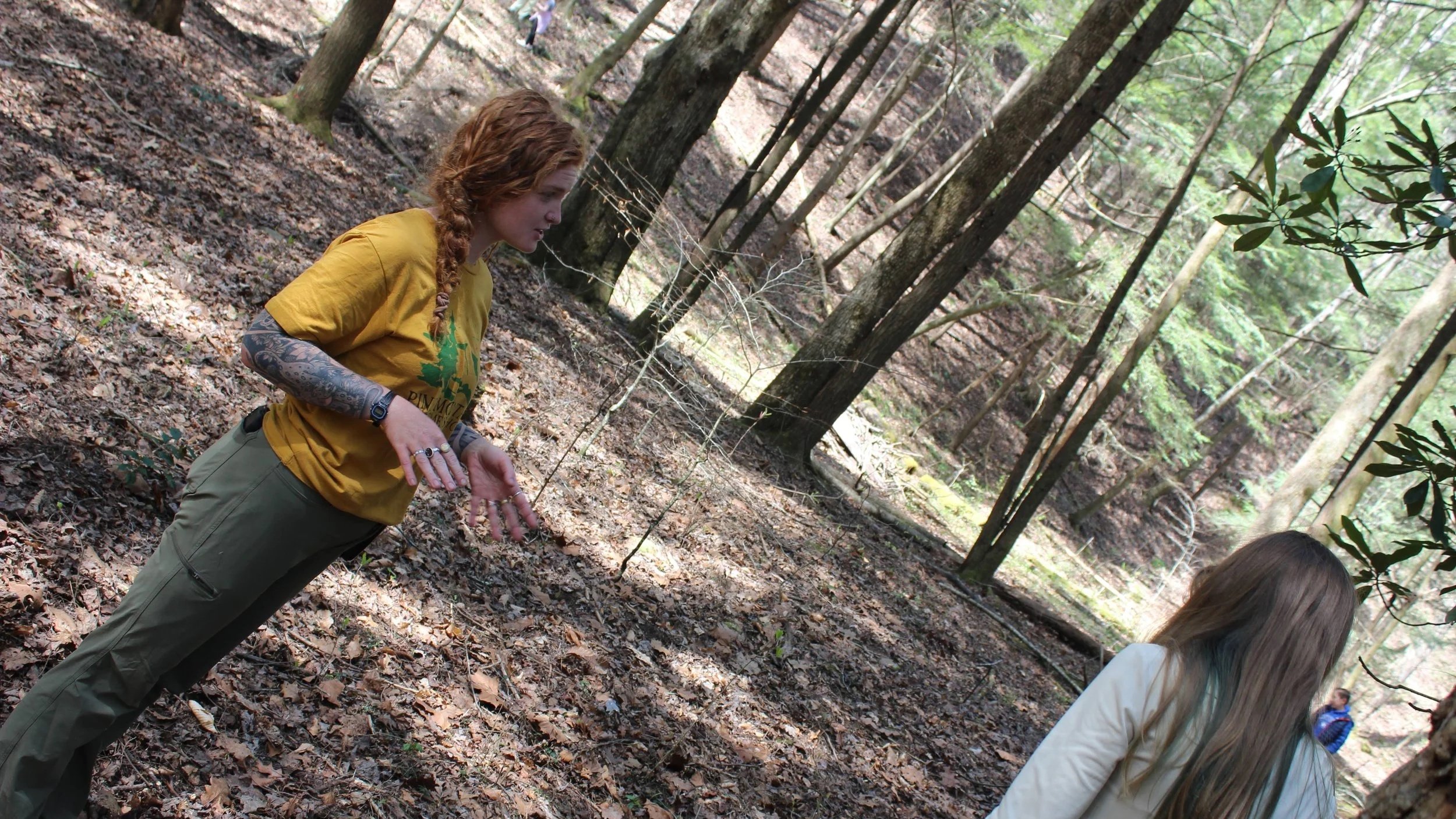 Summer Camp Series: From Streams to Summits