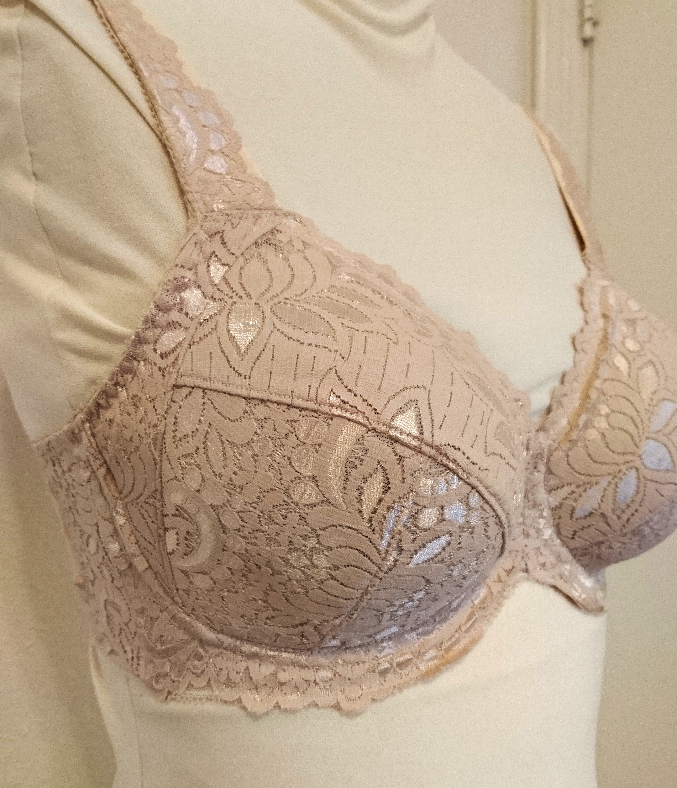 Sewing Bras - Lace Shelley Bra - aka Bra Seam Manipulation — LilypaDesigns