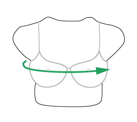 Illustrated-Bust_3.png