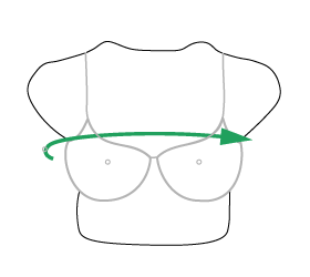 Illustrated-Bust_4.png