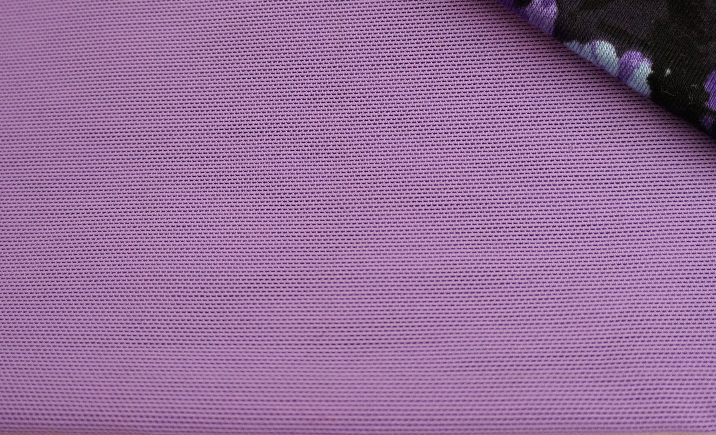 DSC06508_detail.png