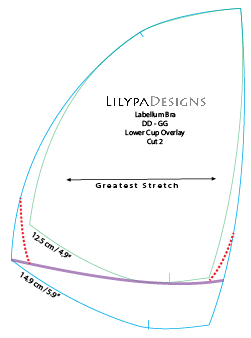 Labellum_BCD_mod5.png