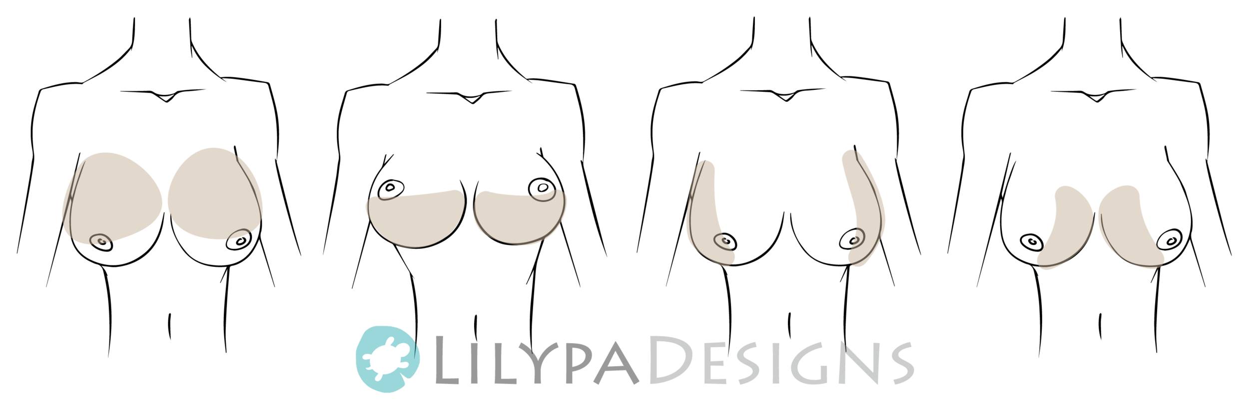 Breast Anatomy and Bra FIt — LilypaDesigns