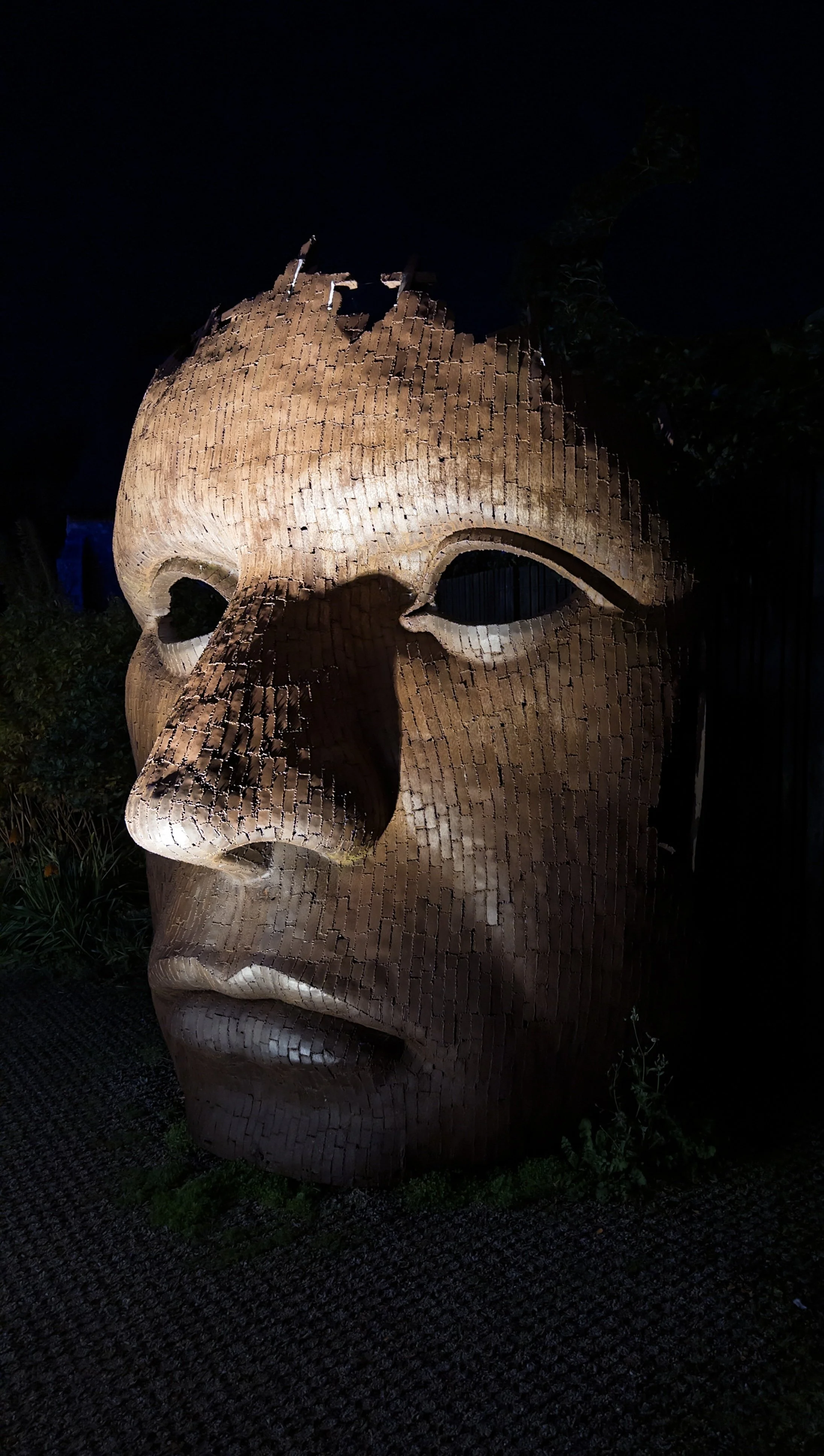 Face.jpg