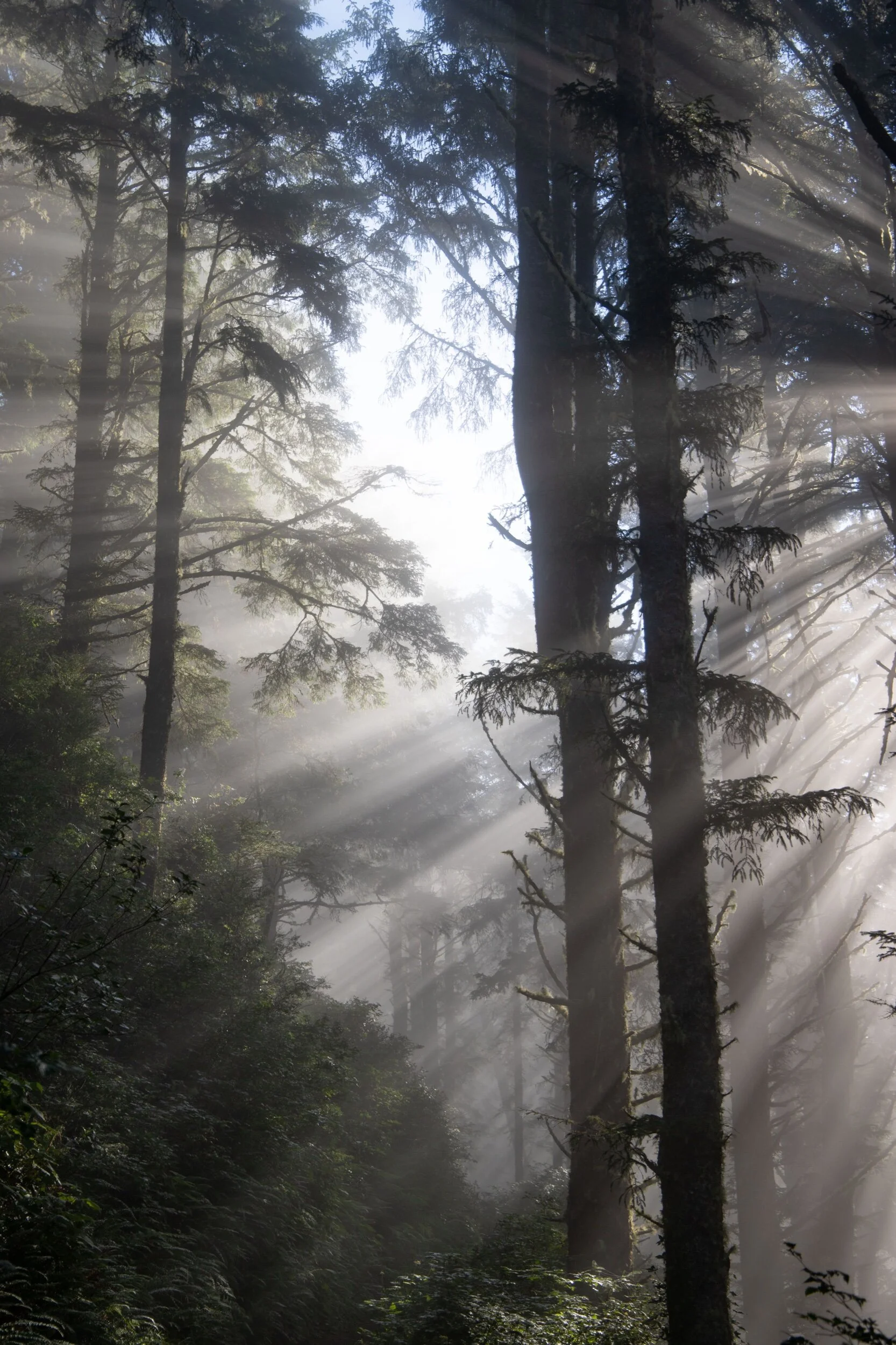 CB098F22-F6FC-4288-A9C8-BD33C0298530