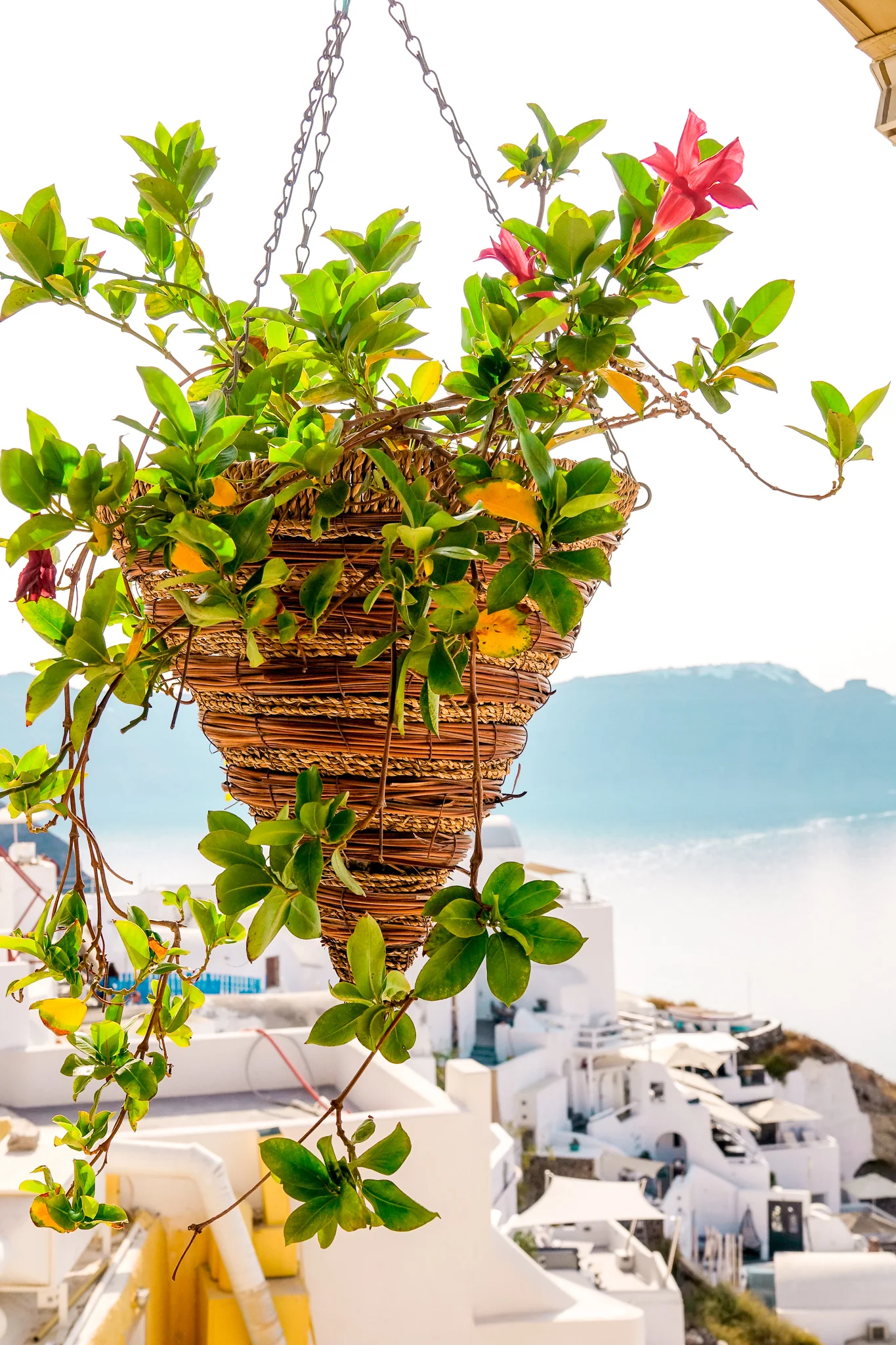 Santorini18.jpg