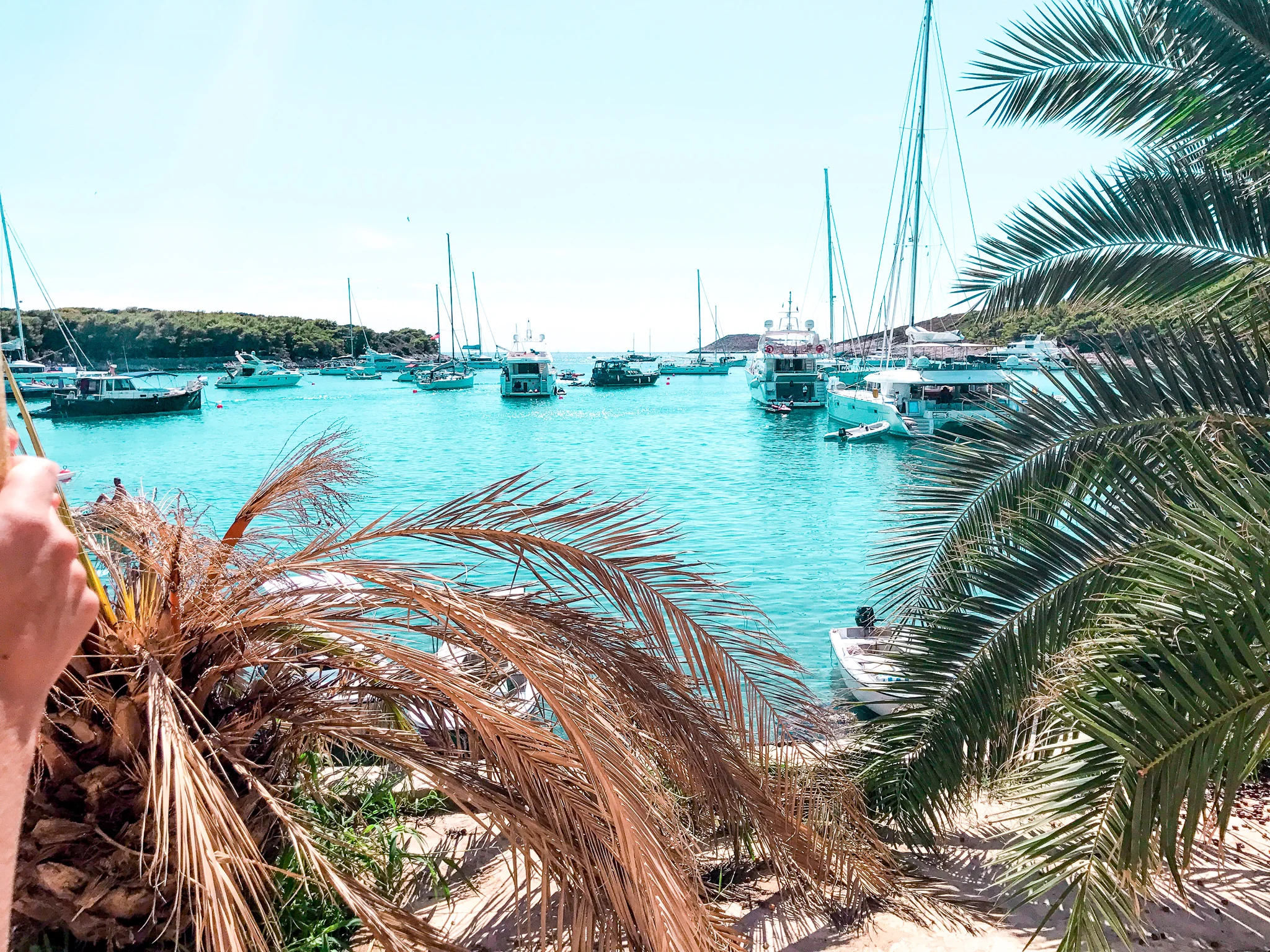 Yacht Week84.jpg