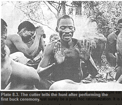 !Kung hunters. From  Lee (1979)