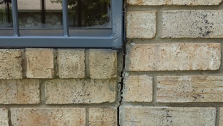 Exterior Wall Inspection