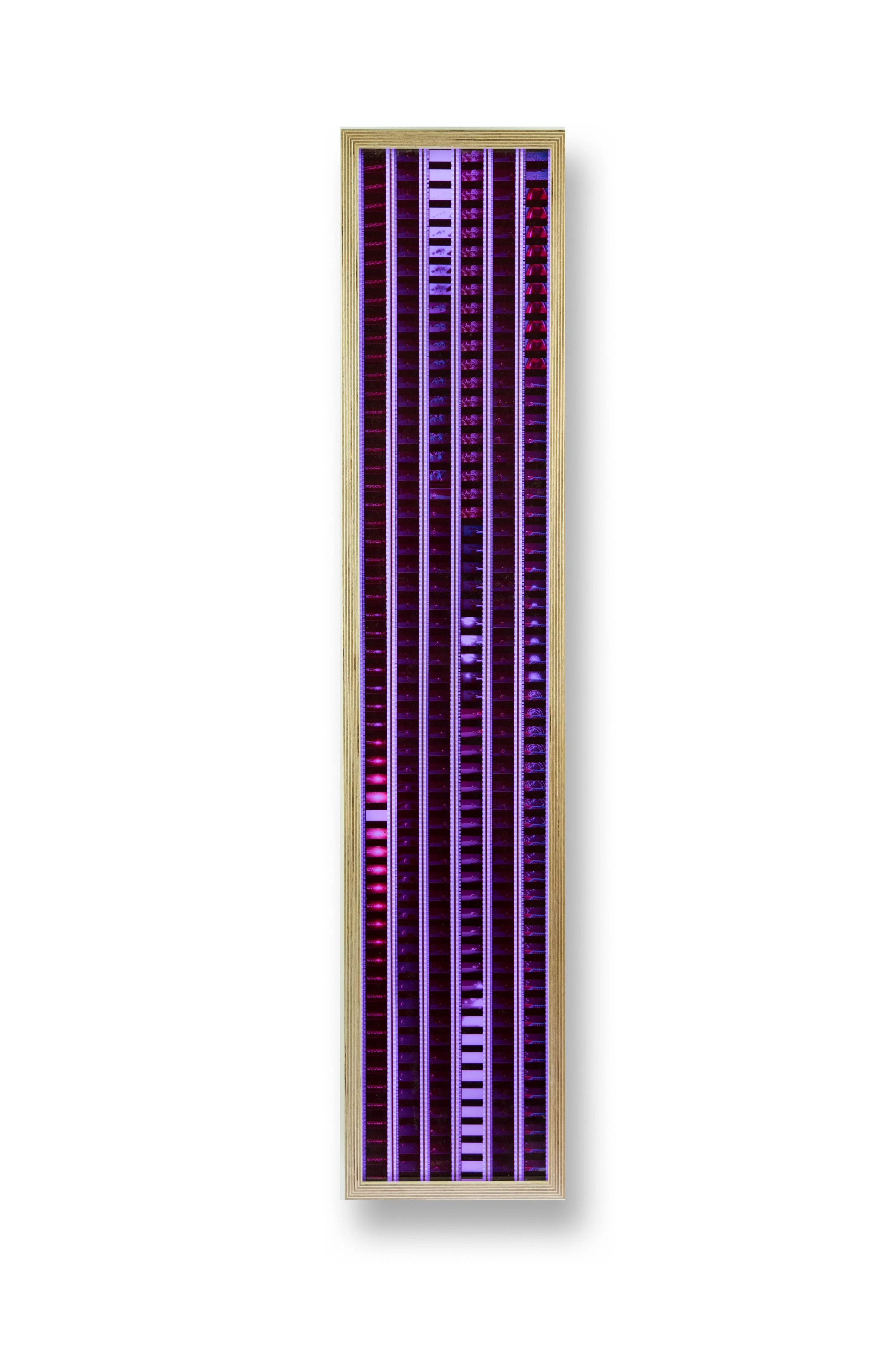 TRON.jpg