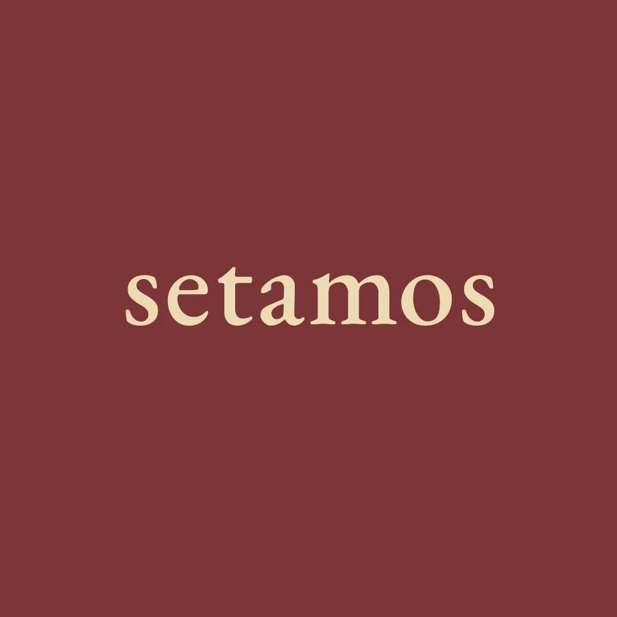 SETAMOS-01.jpg
