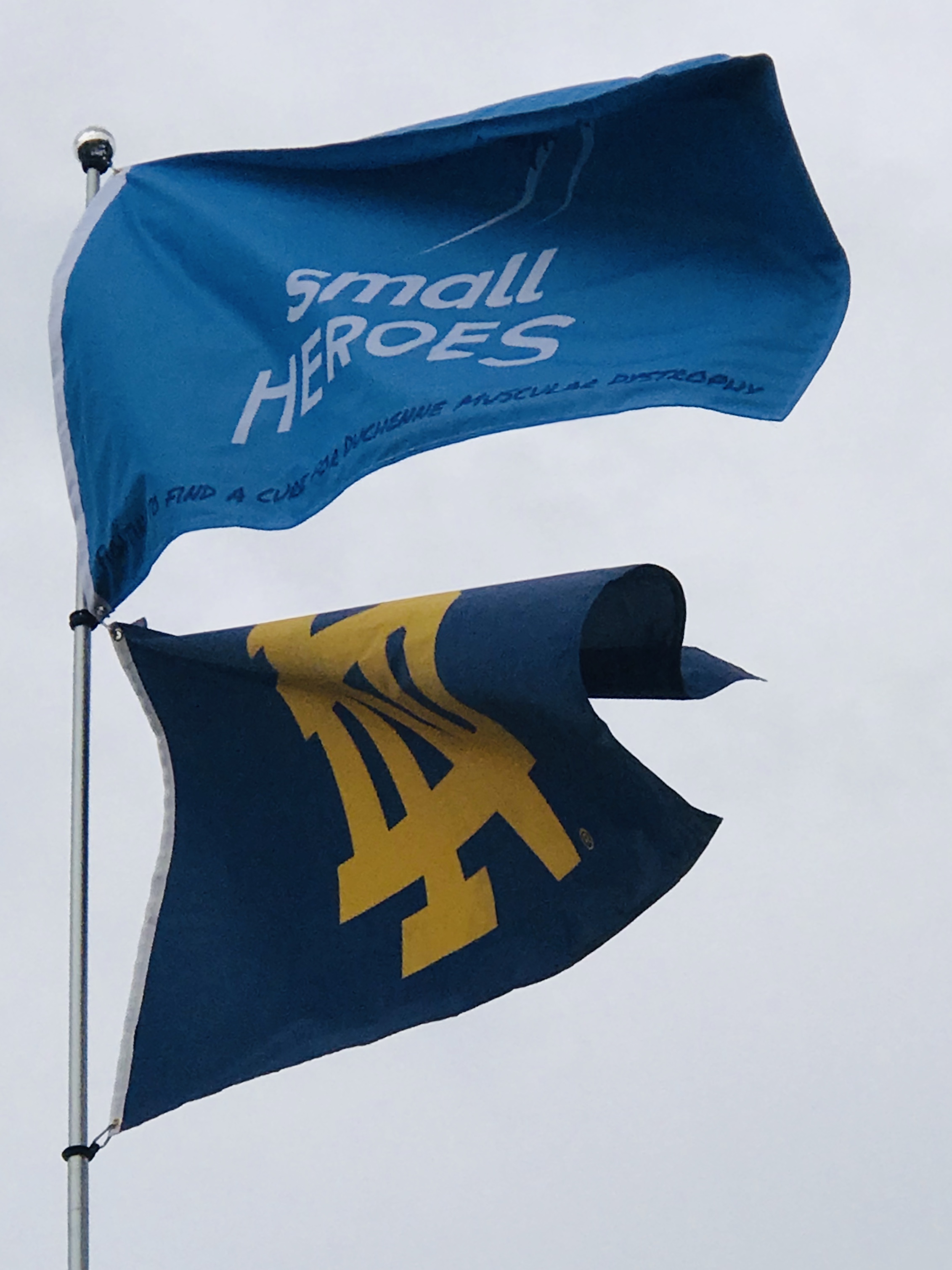 flag.jpg