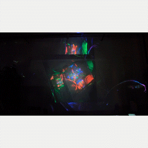 julian-lights.gif