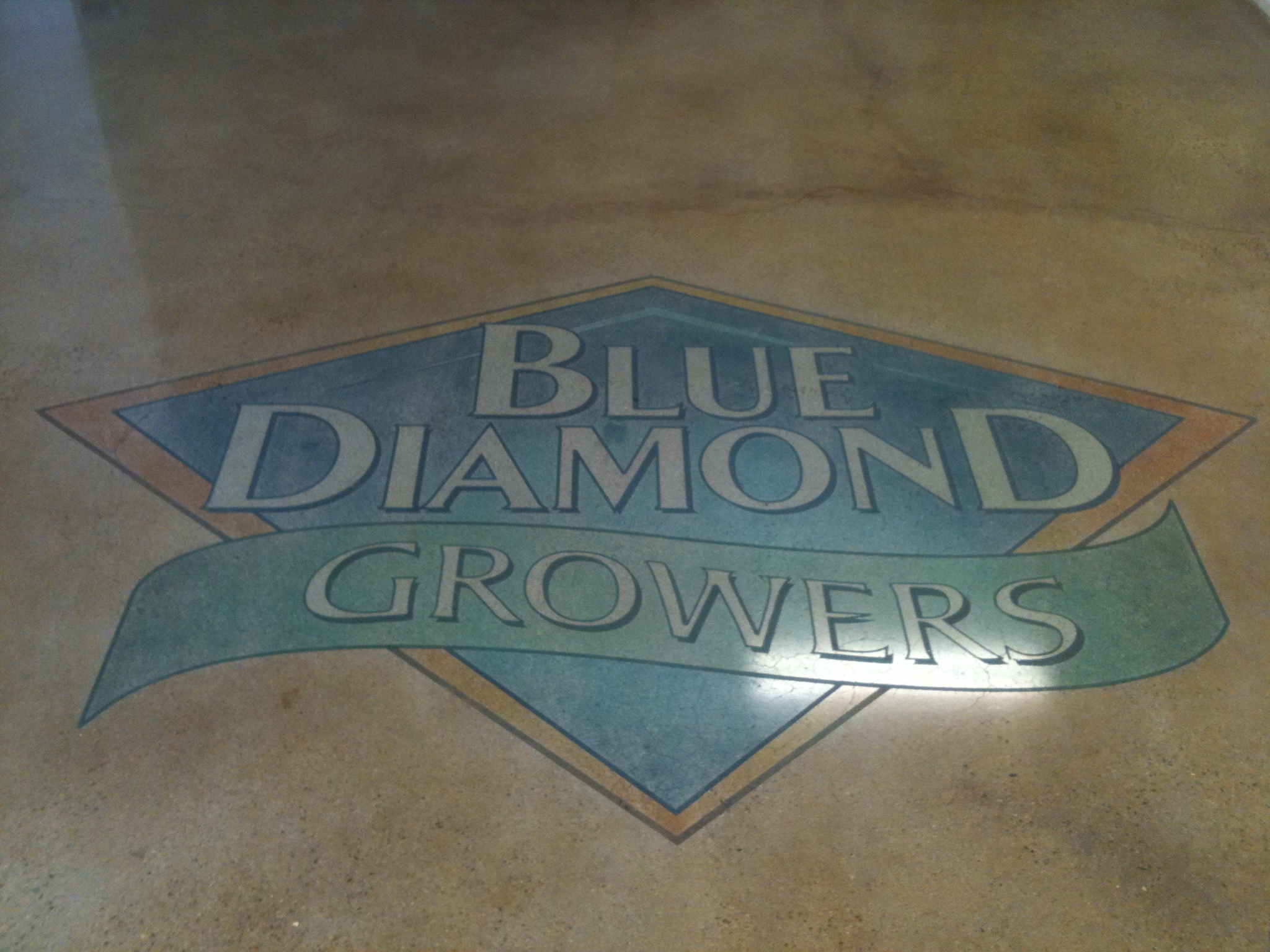 Blue Diamond Polished Floor. Salida,Ca.JPG