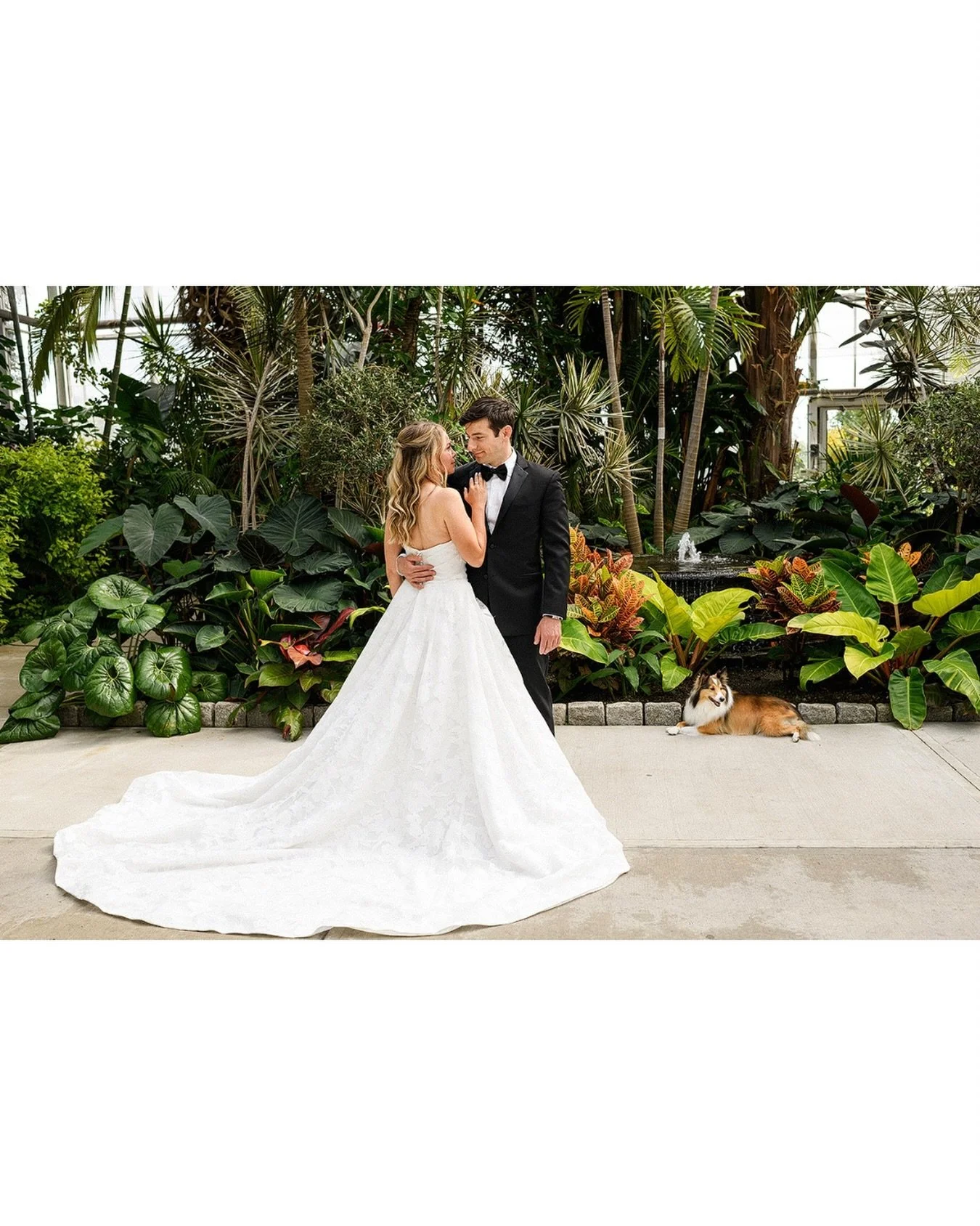 One frame&hellip;for now! Look for more teasers tomorrow from this great #rwpcasino wedding with portraits at my favorite #RWP botanical garden.

I could photograph there everyday and never tire of it&hellip;have your wedding there + hire me!!!
