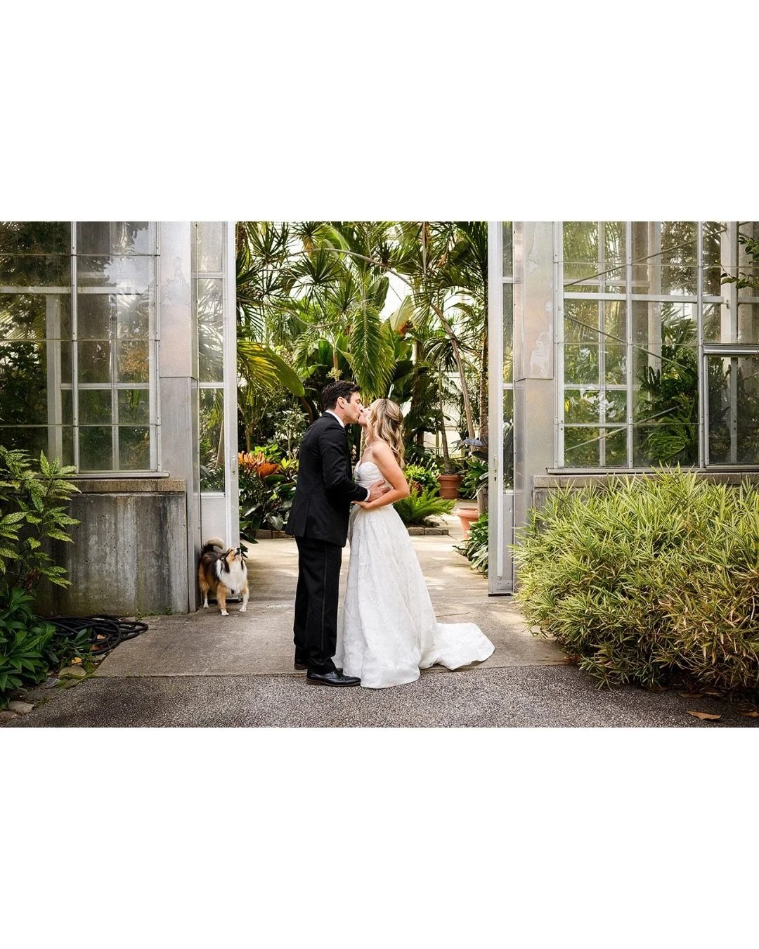 A few frames from Nicole + Tim&rsquo;s #rwpcasinowedding on the journal tonight [link in profile]

@rogerwilliamspark 
@ricruisincocktails 
@xtremesoundzdj 
@lisafrechettephoto 
@401gourmet 
@jephry_floral_studio 
@nlp____
