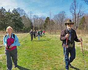 Sunday Afternoon Nature Walk