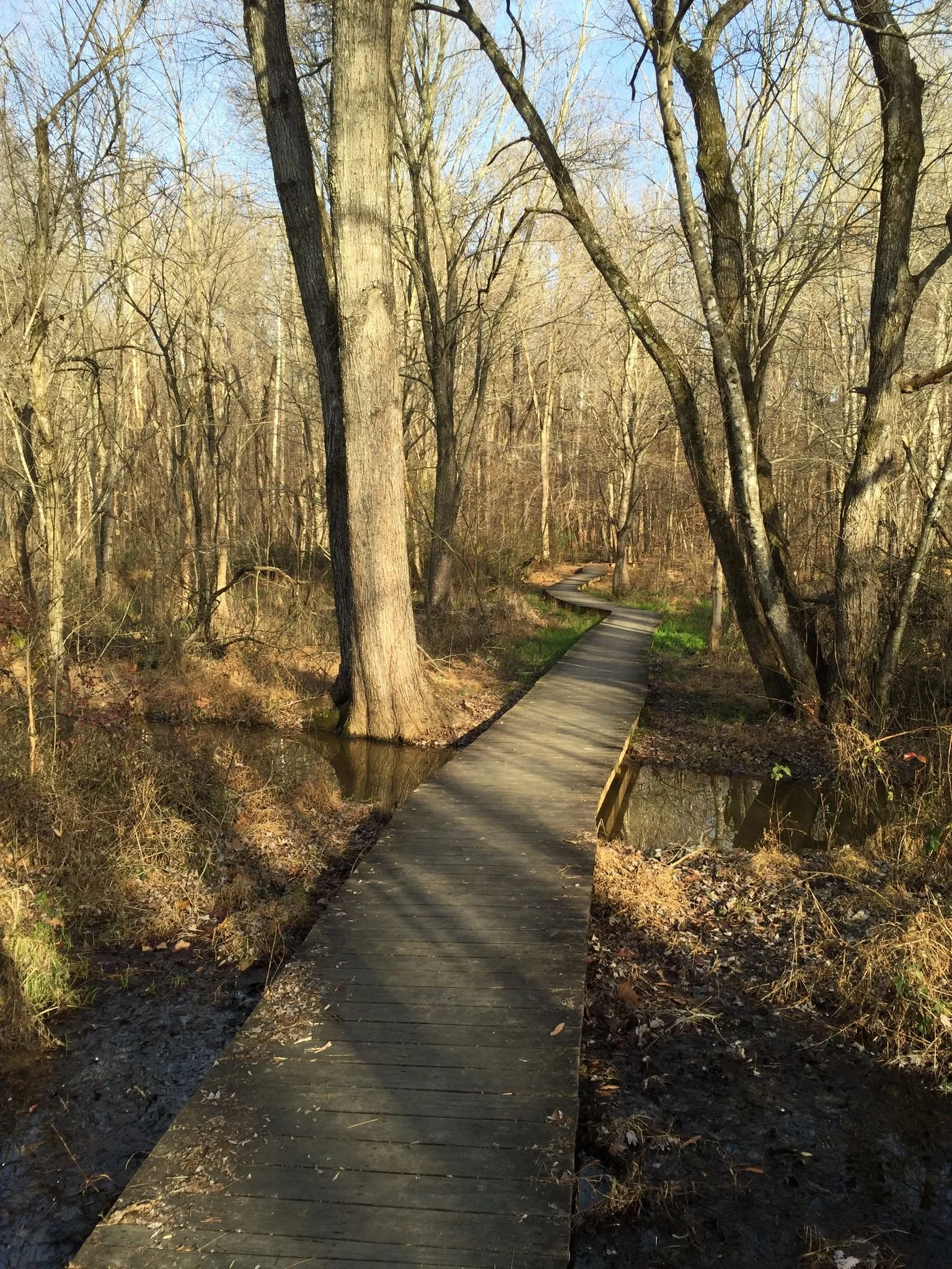 Sunday Afternoon Nature Walk