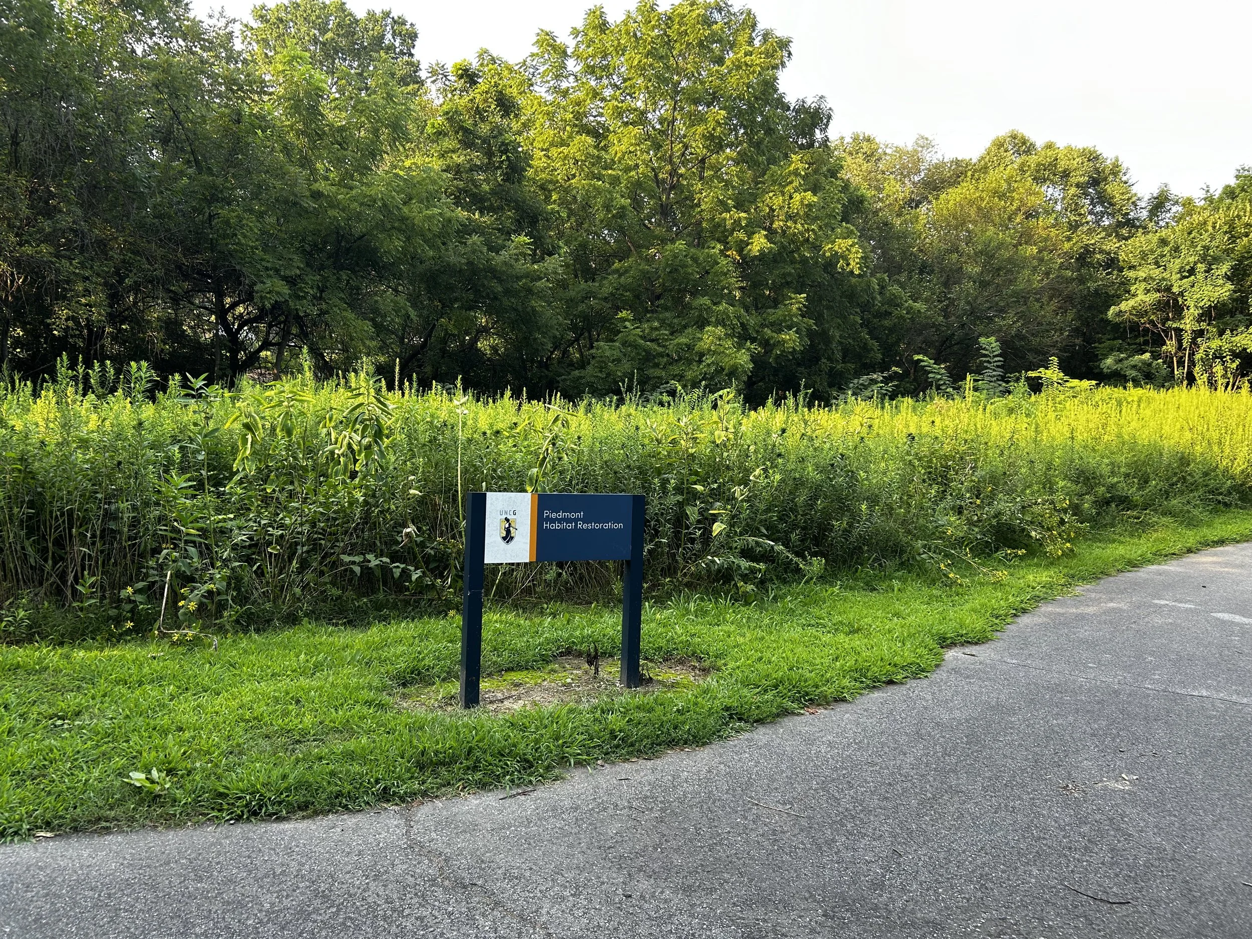 Sunday Afternoon Nature Walk at Peabody Park