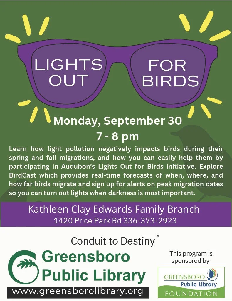 Lights Out for Birds