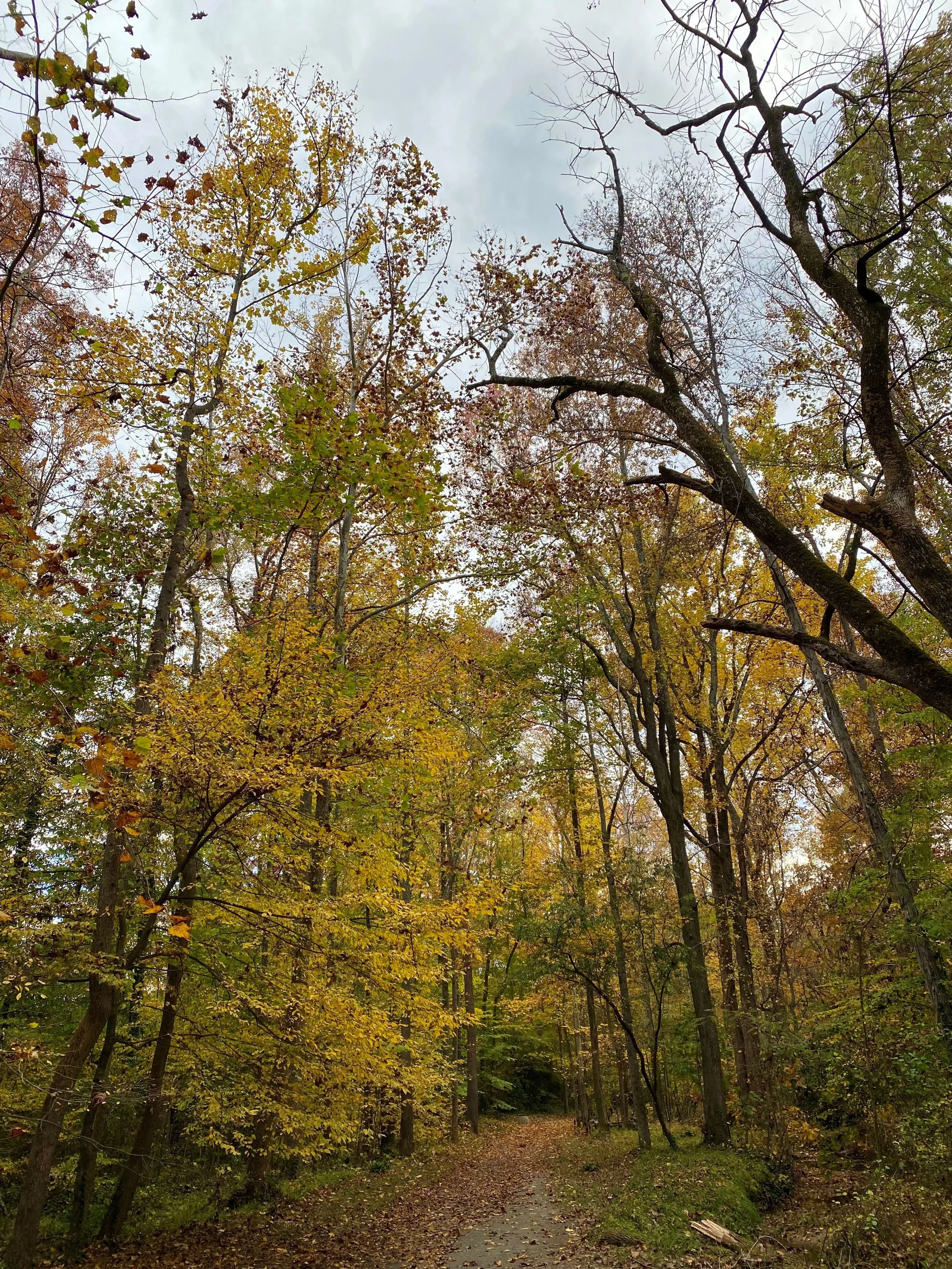 Sunday Afternoon Nature Walk at Hamilton Lakes